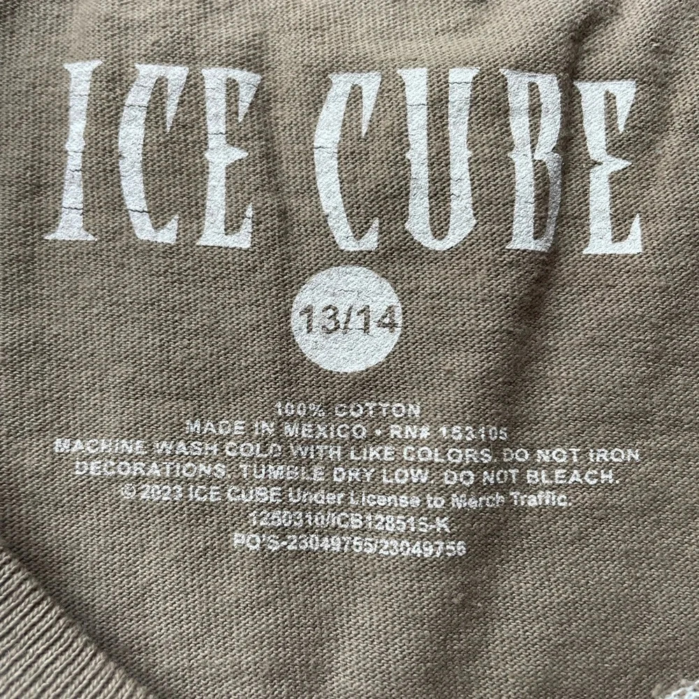 Ice Cube Crop Boxy Cotton Tee - Picture 7 of 8